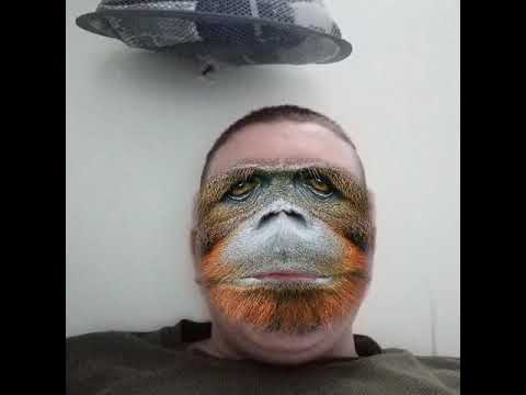 epic harambe swag - YouTube