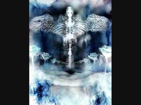 maximum the hormone - what`s up, people!