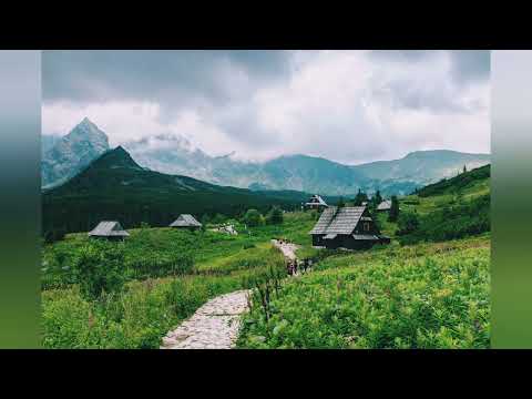 MrBull 》RVZZER JANFRY - Big Hoops