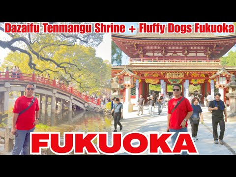 Exploring Dazaifu Tenmangu Shrine + Visiting the Best Dog Cafe in Fukuoka