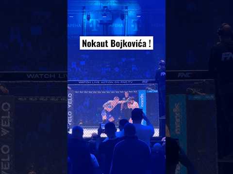Nokaut Marka Bojkovića protiv Lom Ali Eskieva #mma