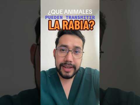 Which animals transmit rabies? How do they do it? #internist #medicine #doctor #nursing #rabies