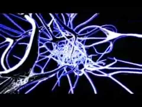 Etna Brasil ft. Stevie H - Bom Bom Diter Zafir Remix