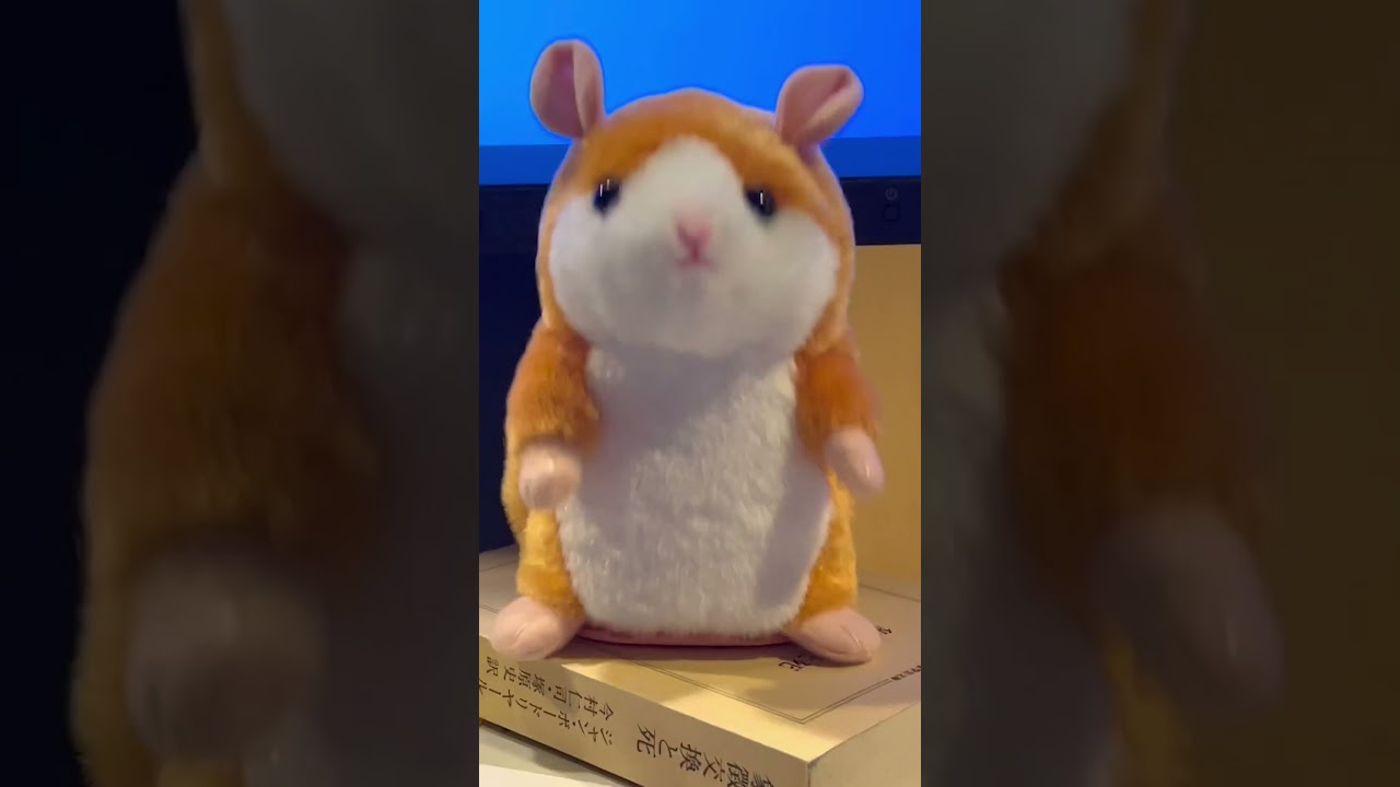 はかいこうせん