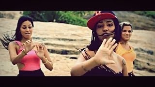 MC Nandinho e MC Chris Brown - Vai no Passinho (Lançamento 2014)