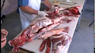 Just Outdoors - Deer Processing Start to Finish