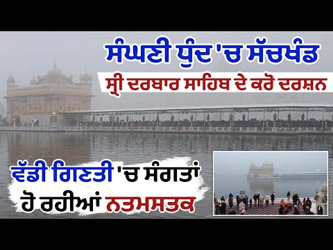ਸੰਘਣੀ ਧੁੰਦ 'ਚ ਸੱਚਖੰਡ ਸ੍ਰੀ ਦਰਬਾਰ ਸਾਹਿਬ ਦੇ ਕਰੋ ਦਰਸ਼ਨ ਵੱਡੀ ਗਿਣਤੀ 'ਚ ਸੰਗਤਾਂ ਹੋ ਰਹੀਆਂ ਨਤਮਸਤਕ