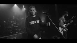 Forester - The Stranger