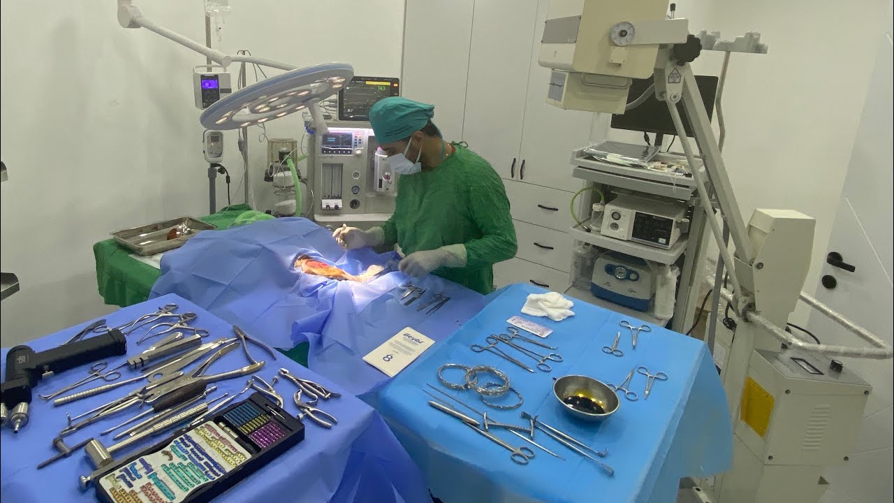 Köpekte pyometra ( Rahim iltihabı) Ameliyatı