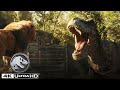Los mejores momentos del Tiranosaurio Rex en 4K HDR | Jurassic World