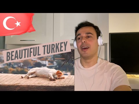ITALIAN REACTION TO 🇹🇷 WATCHTOWER OF TURKEY