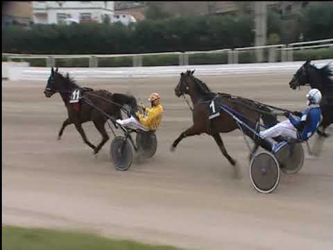 Trotto 26/03/2019 - 3ª corsa