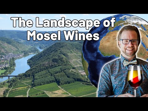 Exploring the Mosel Wine region with Google Earth 3D