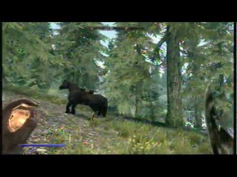 Skyrim: How to get 100 in all combat skills