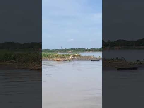 Crisis total en el río Magdalena #emergencia #colombia