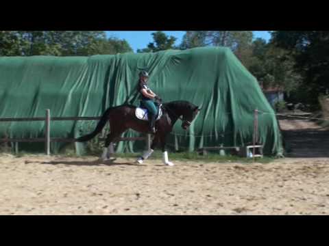 zauberlehrling september 2016