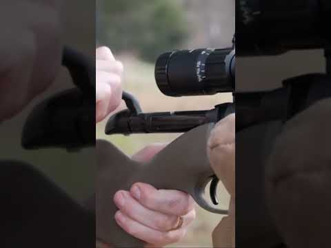 The #1 Best Steyr Arms Hunting Rifles 2026 — A New King Just Changed Everything