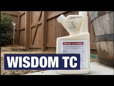 Wisdom Tc Label