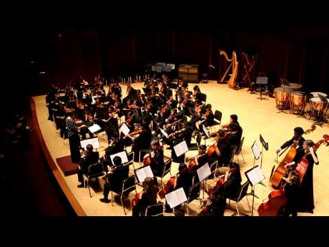 2012 HYS fall concert - Sring - Allegro in D for Strings
