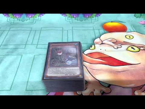 1st Place Floowandereeze Deck Profile!!! August 2022!!!!