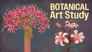 Botanical Art Study of Toxic Plants & Hidden Blooms: Boophone and Ammocharis