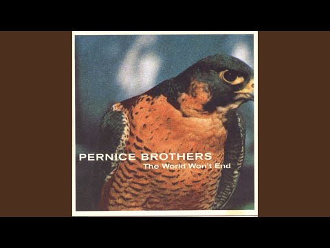 Flaming Wreck - Pernice Brothers