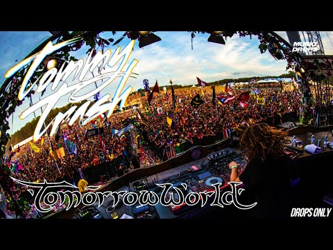 Tommy Trash [Drops Only] @ TomorrowWorld 2014 Atlanta, USA | Mainstage