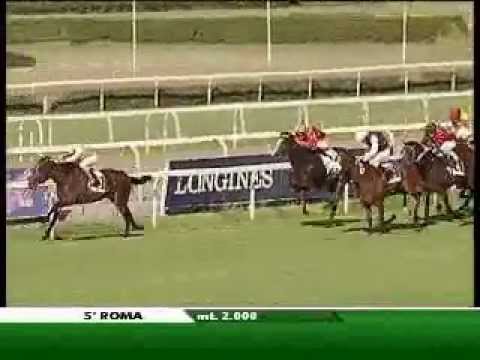 Premio Tullio Mei 2012 (HANDICAP PRINCIPALE)