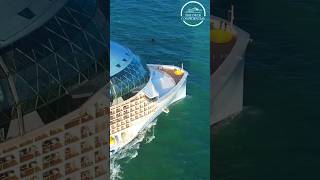 Luxury & Themed Cruises 2026 🚢✨ #usashorts #cruisetour