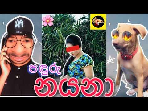 අමර නයනා LOVE එක😂 || නයනාගේ හොර අල්ලපු ජුන්ඩියා😌 || Best Drama Queen👸🏽👑