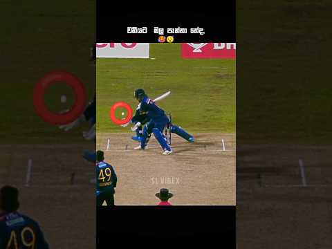 ඇයි වනියට මල පැන්නේ😅🤔 | #gadgets #cricket #trend