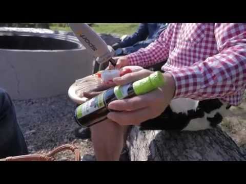 Cool und Spektakulär: Die Nyokas-Zwillinge im Portrait