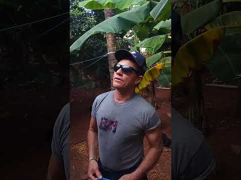 éu conversando com meus amigos internautas na minha casa junto com a natureza Aragarças Goiás