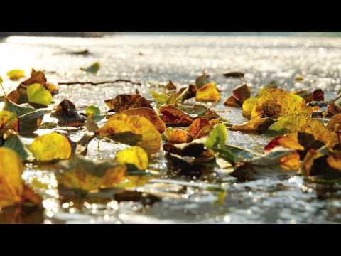 ensemble polyharmonique - Andreas Hammerschmidt - Süsser Jesu