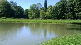 Zelena trava doma mog - Riblja Čorba