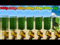 Minecraft in different quality 144p, 240p, 360p, 480p, 720p, 1080p, 4k