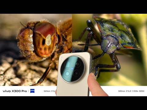Vivo X300 Pro Camera Test: Macro Photography