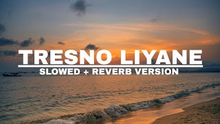 Download lagu TRESNO LIYANE ( SLOWED   REVERB VERSION ) mp3
