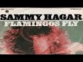 Sammy Hagar - Flamingos Fly (1976) (Remastered) HQ