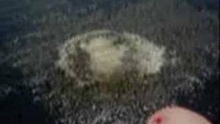 mike canzoneri tribute