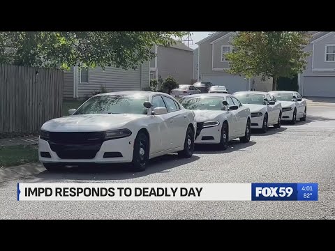 Fox 59