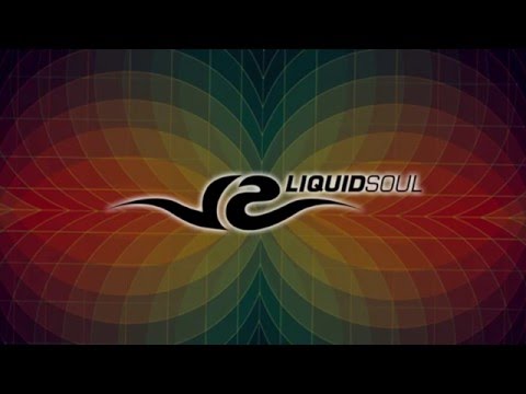 Paul van Dyk & Jordan Suckley - City Of Sound (Liquid Soul Remix)