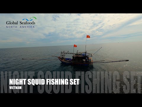Vietnam Night Squid Fishing in Lang Co | Traditional Boat Rig & Lights (DJI Avata)