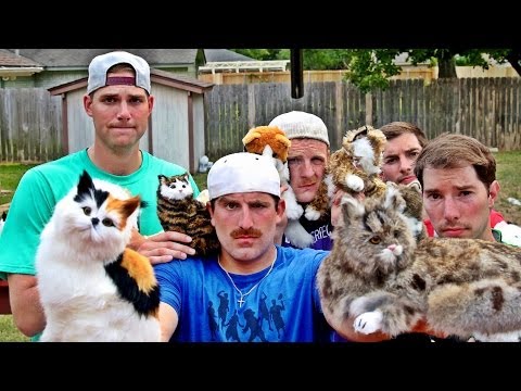 Trick Shots and Cats