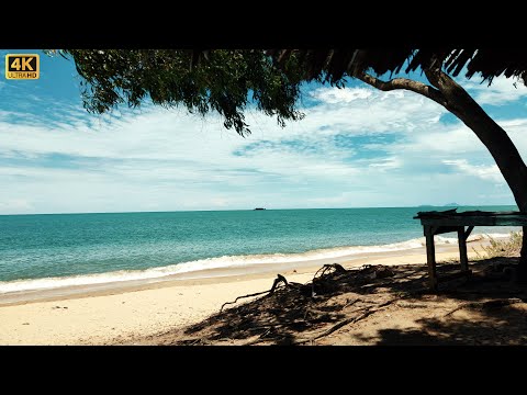 Experience the Tranquility of a Tropical Beach | Calm Waves, Gentle Breezes and Crystal-Clear Water