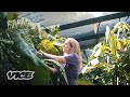 The Largest Collection Of Rare Plants In The US FANATICS IN THE DEEP END