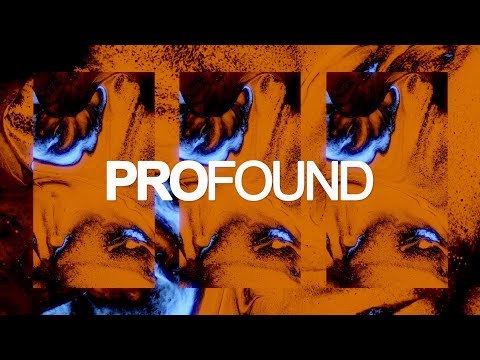 House Divided - Want You