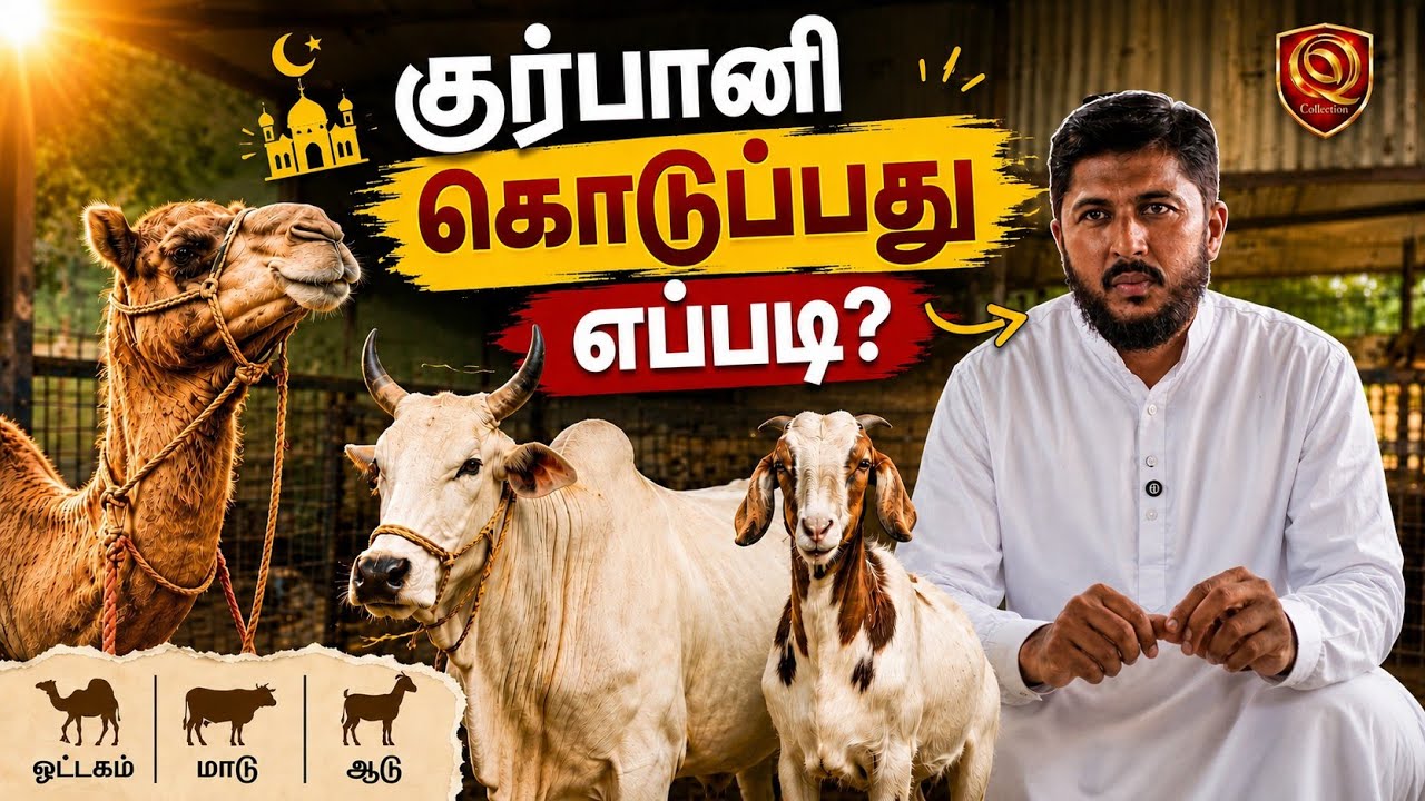 🐑 குர்பானி கொடுப்பது எப்படி? | How To Give Qurbani ? | Usthad. Althafi