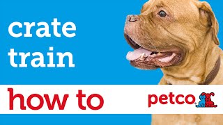 How to Crate Train Your Puppy (Petco)