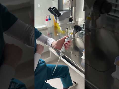 Logo of Practical Insights on the IVF Procedure in Prague, Czech Republic